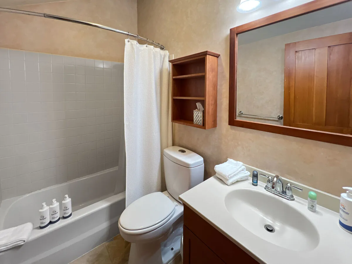 A modern bathroom scene featuring a spacious shower, clean sink and mirror, toilet, and organized storage shelf. The environment is spa-like and inviting, ideal for personal routines and relaxation.