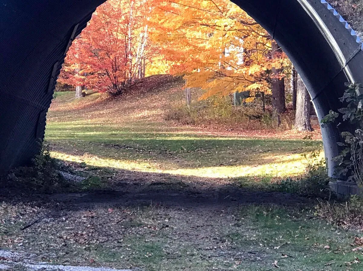A scenic view featuring an arched tunnel entrance surrounded by vibrant autumn trees and a winding path that leads into the landscape. The tunnel is whimsical and visually distinctive, suggesting adventure and exploration.